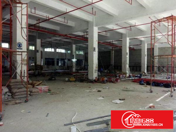 沙井一楼单层800平高6米以上，17M挂车可进