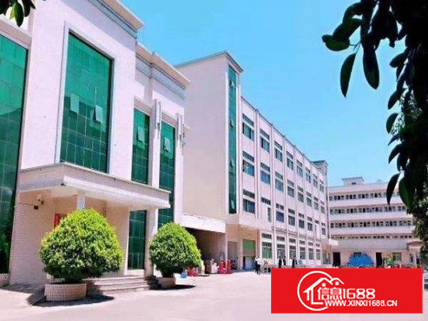 独院标准厂房出租，空地超大。