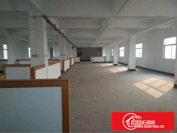 常平独门独院厂房出租