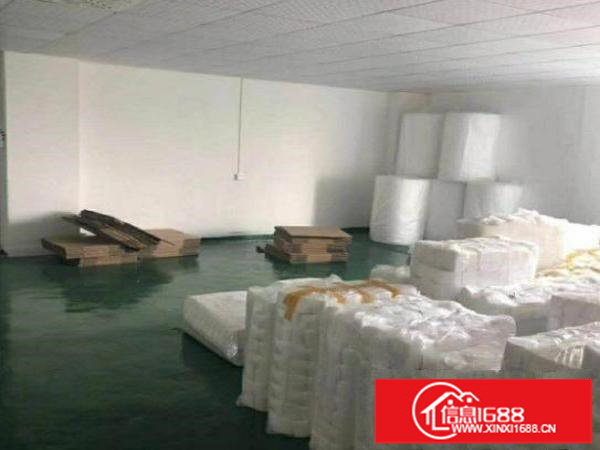 松岗江边1000平方带无尘车间厂房出租