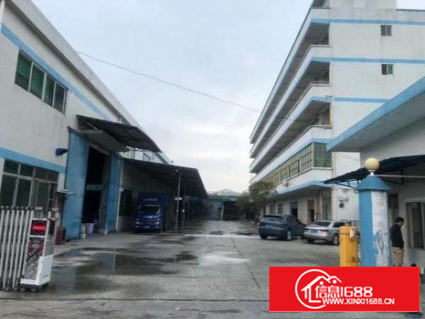 独院单一层滴水11米高带独立办公楼豪华装修5000平方出租