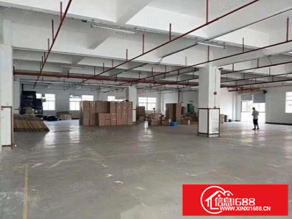 布吉联创工业园8万平独门独院厂房出租500平起分租一楼仓库