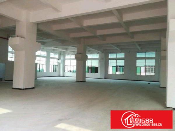 虎门镇全新重工业厂房，车位200个左右