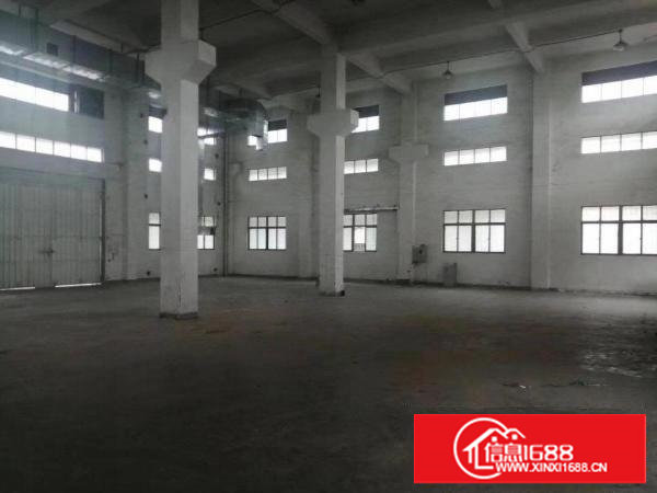 塘厦沙湖10米高单一层900平方可隔独院空地大