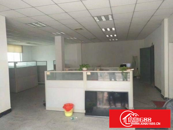 惠阳新圩标准一楼3000平带卸货平台可分租