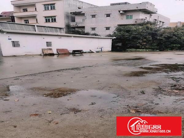 原房东独院厂房门前空地超大有宿舍办公司