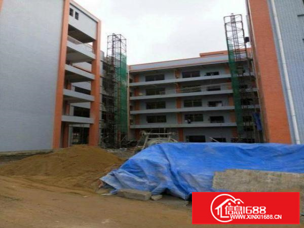 新圩高速附近原房东物业23000平方米招租(带牛角