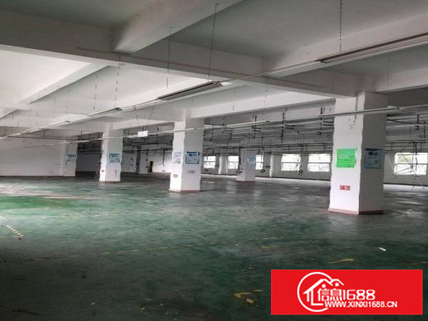 兴东地铁口无公摊1200平方招租