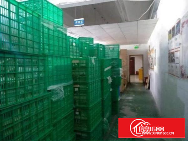 沙井新桥新发工业区580平米带装修水电齐厂房出租