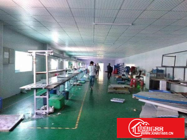 横岗大康横坪公路大型工业区楼上精装1250平