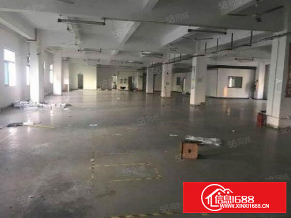 （特价盘）石岩松白路新出楼上1000平方带装修厂房出租