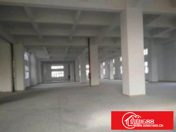 高埗标准一楼厂房500-5000平米低价招租可装行车,成熟工