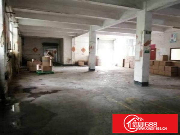 坑梓老坑工业区5米高标准一楼厂房350平招租