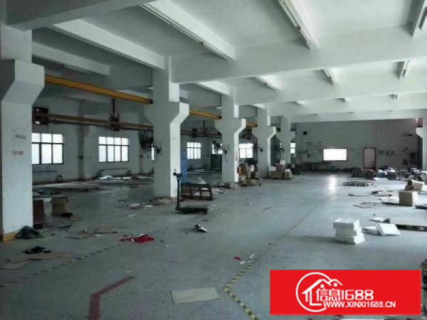 石湾镇标准独院厂房出租2100消防喷淋包办环评