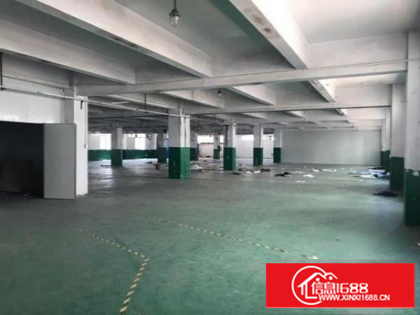 万江区新出原房东独门独院厂房