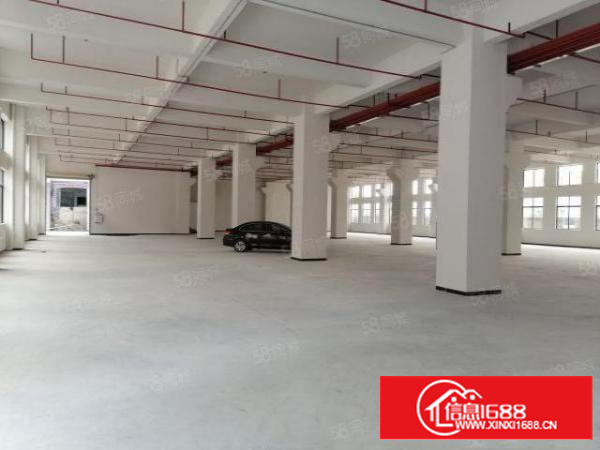 带客梯和三吨货梯厂房，可办环评有消防喷淋，独院分租一栋