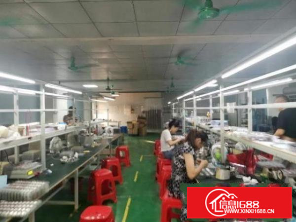 清溪浮岗原房东房子出租