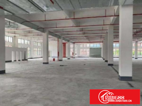 高埗标准厂房楼上新空出800平出租