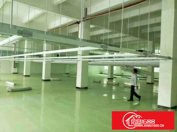 政府厂房出租，有环评，带装修，带补贴