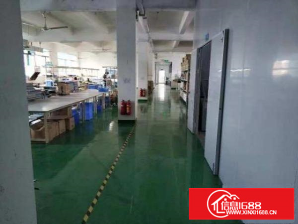 横岗街道办旁电子无尘车间分租500平