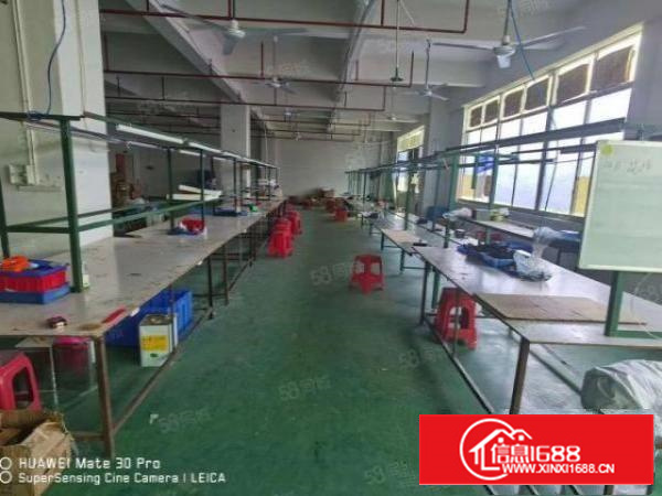 凤岗金凤凰楼上带装修拉线适合电子组装加工厂房出租