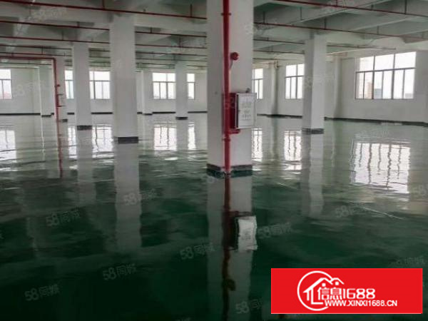 原房东带地皮漆厂房2楼2000方，惊喜价12块