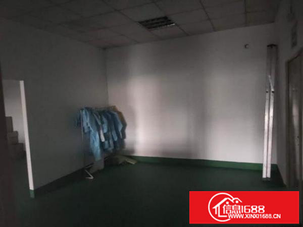 观澜桂花附近一精装修厂房出租！