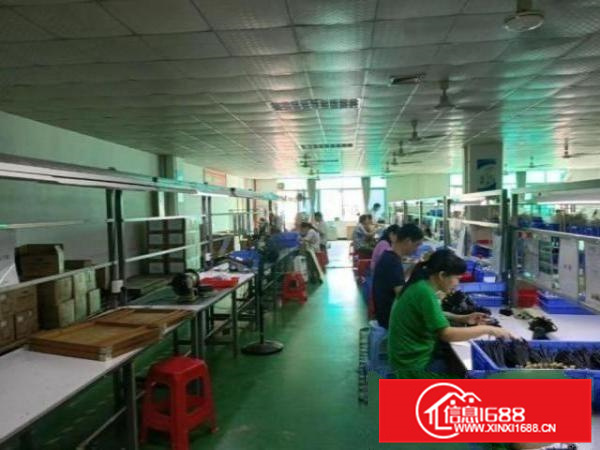 容桂龙涌口1楼775平方厂房出租