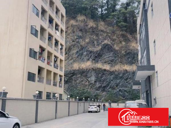 凤岗碧湖碧鸿工业园一楼3680厂房出租