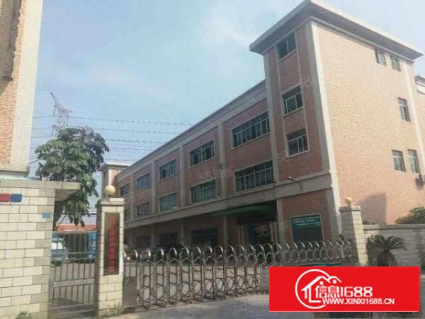 简沙洲新出5700平米标准独门独院厂房招租