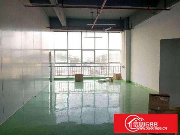 电子厂房带装修出租楼上700平米流水线台办公室在凤岗雁田