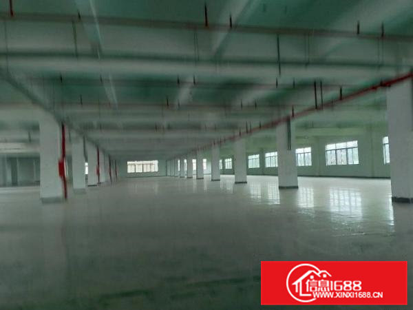 大朗洋乌原房东可办环评12000平方厂房出租可以分租