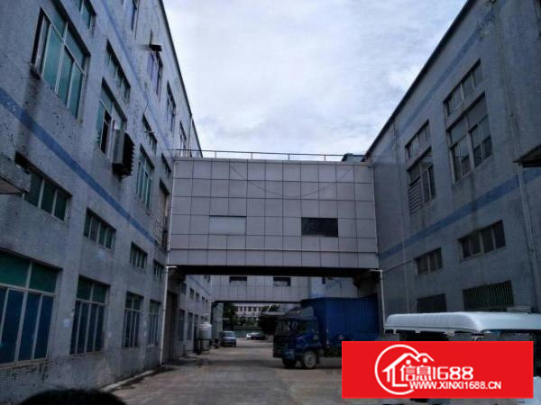 惠阳新墟1200平一楼高6米有喷淋地坪漆空地超大