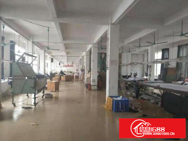 平湖标准厂房1500方、可分租、交通方便、电大