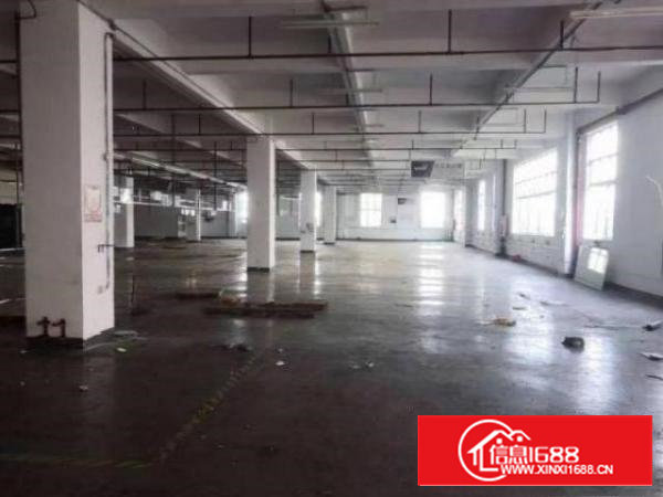 沙井共和独院厂房9000平方出租