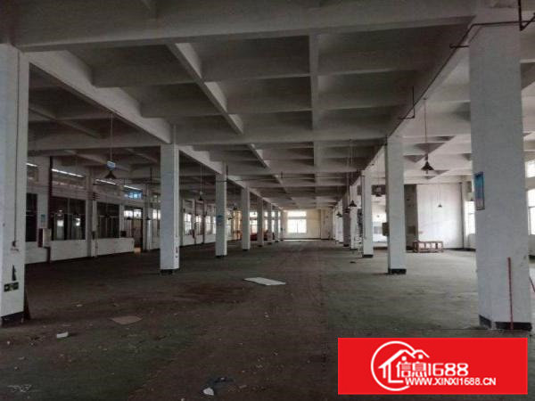 出租横沥水边原房东新出一楼厂房200平方