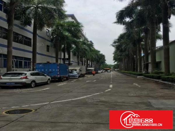 物业直租丹竹头工业区楼上3200平米电商仓库招租