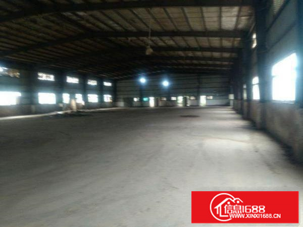 三栋镇一楼钢构3800平米靠路边可分租