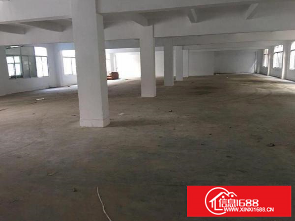 出租坪山新区周边大工业区坑梓镇500平左右超靓标准厂房