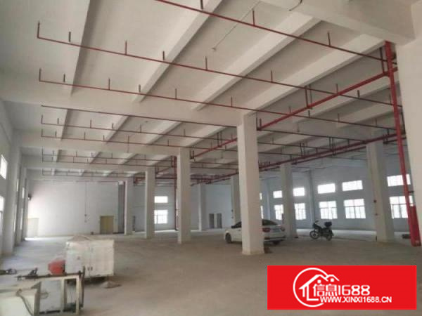 龙岗坪地新出5600平独院标准厂房出租