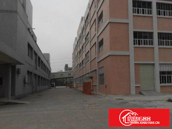 16500m2独栋厂房出租可分租