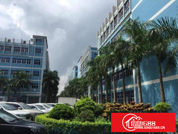 龙岗电商仓储办公工业园现成装修300到3千均可分租