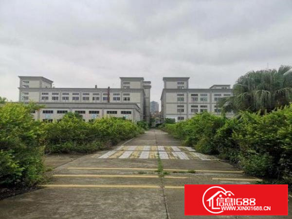 桥头镇新出原房东独院标准厂房出租