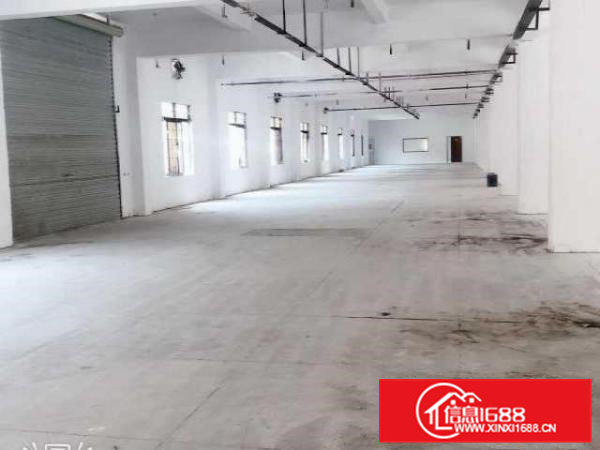 清溪荔横楼上可做电子五金加工厂房2800平可以分租