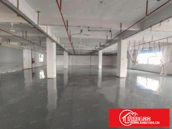 石排庙边王新出楼上870平厂房出租带装修