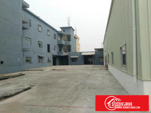 清溪三星新建钢构1380平方，配电大，空地超大