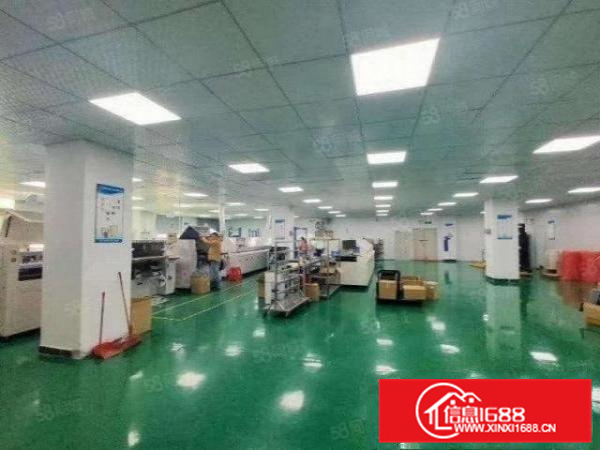 二楼600平方带豪华装修，货梯三吨，不是拆迁区域