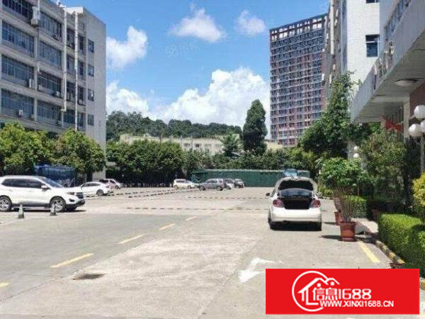 布吉李朗原房东红本2000平电商办公仓库，25全包