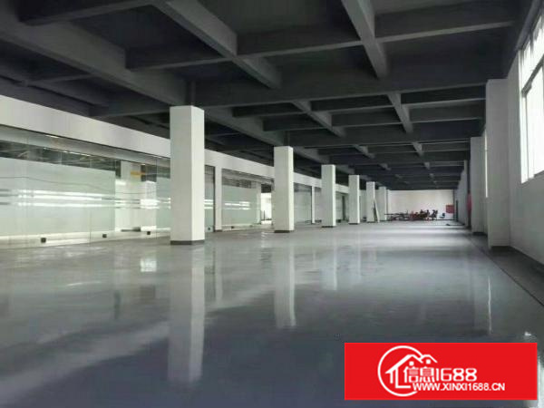 布吉上李朗1300平一楼标准厂房