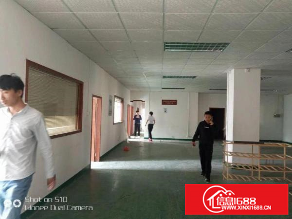 龙岗南联一二楼各550平米出租